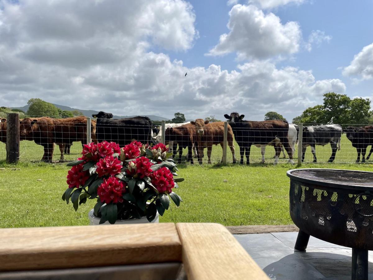 Отель Abbey Farm Luxury Glamping Rhuddlan Экстерьер фото